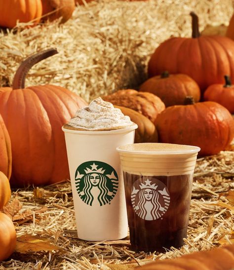 Menu Starbucks, Pumpkin Spice Frappuccino, Fall Starbucks, Starbucks Fall Drinks, Best Starbucks Drinks, Caramel Apple Spice, Starbucks Pumpkin Spice Latte, Carla Hall, Starbucks Pumpkin Spice