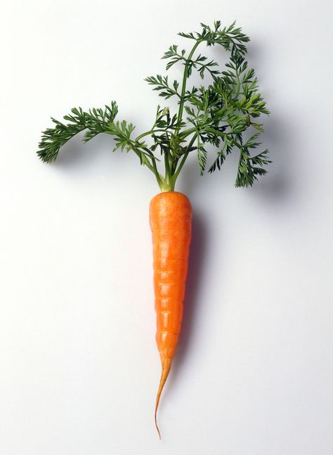 How To Plant Carrots, Age Spot, Vegetables Photography, Carrot Seed Oil, Essential Oils For Skin, Coconut Oil For Skin, Top Skin Care Products, Oil Skin Care, Best Essential Oils