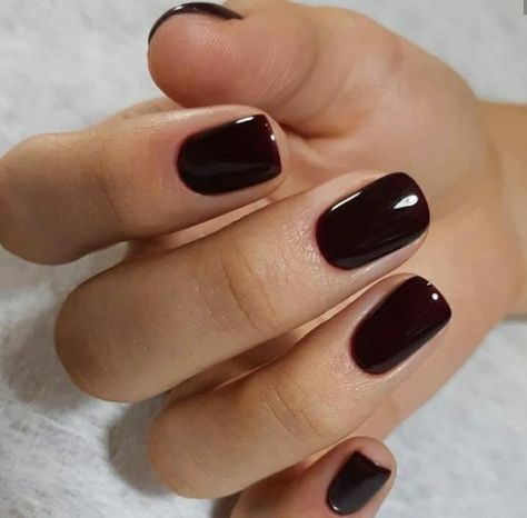 Short Winter Gel Nails, Dip Powder Nails Winter, Short Dark Nails, Short Classy Nails, Old Money Nails, Sophisticated Nails, Money Nails, Natural Nails Manicure, Popular Nail Colors