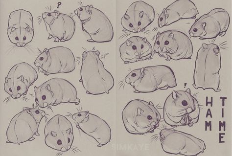 Hamster drawing Drawing Challenge For Kids, Drawing Toturials, Hamster Cartoon, Kids Animation, Sketchbook Doodles, Ideas For Drawing, Doodles Art, Sketch Ink, Animal Doodles