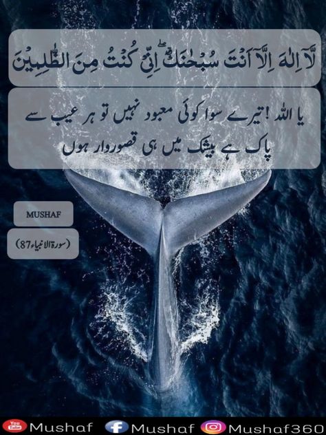 Ayate Kareema, Ayat Kareema, Quran Motivation, Quran Knowledge, Islam Inspiration, Qurani Ayat, Urdu Quotes Islamic, Quran Urdu, Quran Translation