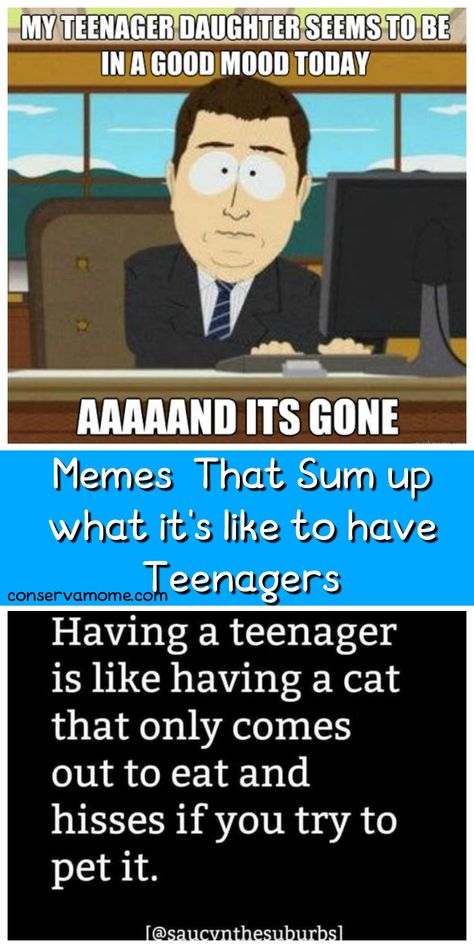 I always use to think having a baby was so hard and I couldn't wait until my kids were older for life to be easier. Man was I wrong. Things have gotten hairy with tween/teens in the house. Here are some Memes That Sum up what it's like to have Tween/Teenager around.  #parentinghumor #tweenhumor #teenhumor Teenager Meme, Daughter Quotes Funny, Teen Memes, Parenting Teens Humor, Nurse Training, Teenager Humor, Raising Teenagers, Parenting Teenagers, Teen Humor