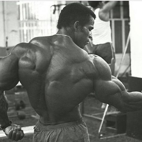 Serge Nubret Serge Nubret, Noxus League Of Legends, Arnold Schwarzenegger Bodybuilding, Aesthetics Bodybuilding, Schwarzenegger Bodybuilding, Retro Fitness, Bodybuilding Pictures, Motivational Photos, Pumping Iron