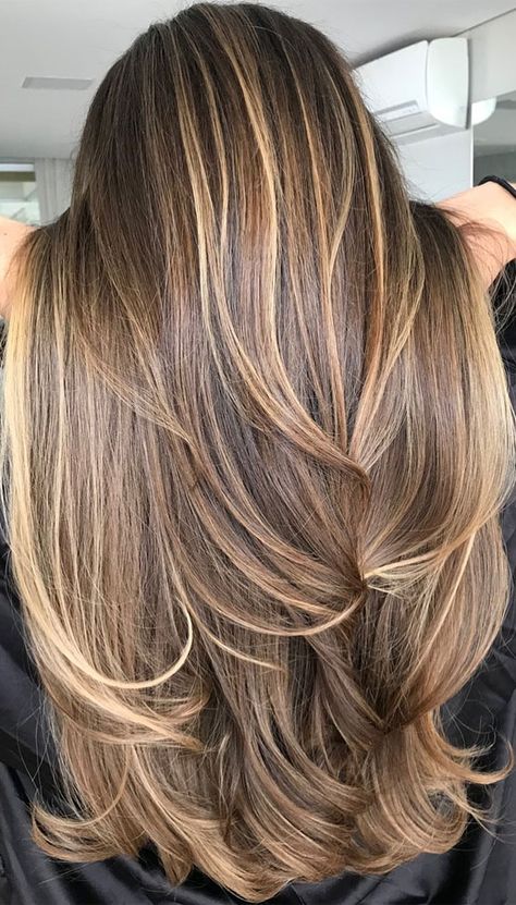 Brunette With Heavy Highlights, Hair 2024 Summer, Light Brown Hair With Caramel Highlights Honey, Warm Blonde Highlights On Dark Hair, Full Head Highlights Dark Hair, Full Head Foils On Dark Hair, Highlights Brown Hair Balayage, Highlights For Dark Brown Hair, Blonde Highlights On Dark Hair