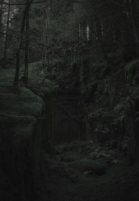 Dark Green Nature, Dark Naturalism Aesthetic, Goblincore Fairycore, Dark Naturalism, Dark Forest Aesthetic, Goblincore Aesthetic, Dark Green Wallpaper, Forest Core, Dark Landscape