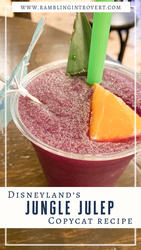 Bring a little taste of Disneyland to your own home with this quick and easy copycat Jungle Julep recipe! Simple Jungle Juice Recipe, Best Jungle Juice Recipe, Easy Jungle Juice, Vodka Jungle Juice, Alcoholic Jungle Juice, Julep Recipe, Dole Pineapple Juice, Orange Julius Recipe, Dole Pineapple