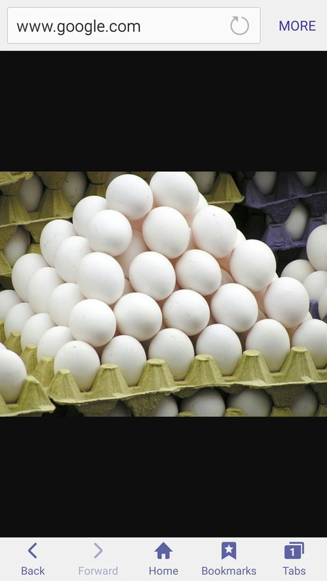 Selling Eggs, Storing Eggs, Egg Benefits, Types Of Eggs, Egg Packaging, Backyard Poultry, Egg Production, Eating Eggs, Carbohydrate Diet