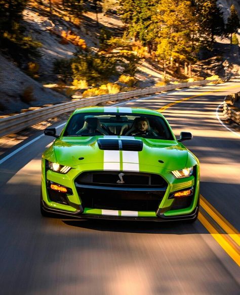 2020 Ford Mustang Shelby GT500 Ford Gt500, Green Mustang, Shelby Mustang Gt500, 1973 Mustang, New Ford Mustang, Ford Mustang Car, Ford Mustang Shelby Gt500, Shelby Gt, Backgrounds Phone