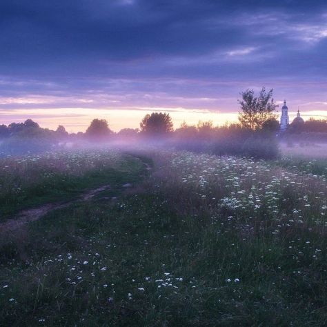 Late Summer Early Fall Aesthetic, Heavenly Landscape, Fog Background, Fog Aesthetic, Dawn Aesthetic, Pretty Landscapes, Purple Aesthetic, Nature Aesthetic, Pretty Places