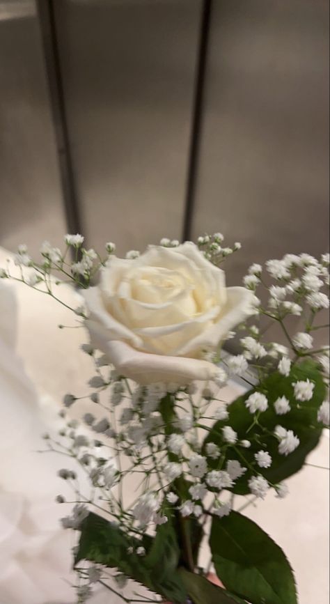 a white rose with baby breaths around it, these were my bridesmaid flowers for my mums wedding they were absolutely gorgeous Baby's Breath And White Roses Wedding, White Rose And Baby's Breath Bouquet, White Roses And Babysbreath, Bridal Bouquet Roses And Baby’s Breath, White Rose Gypsophila Bouquet, White Rose And Baby’s Breath, Single Rose Bouquet, Gypsophila Bouquet, Mums Wedding