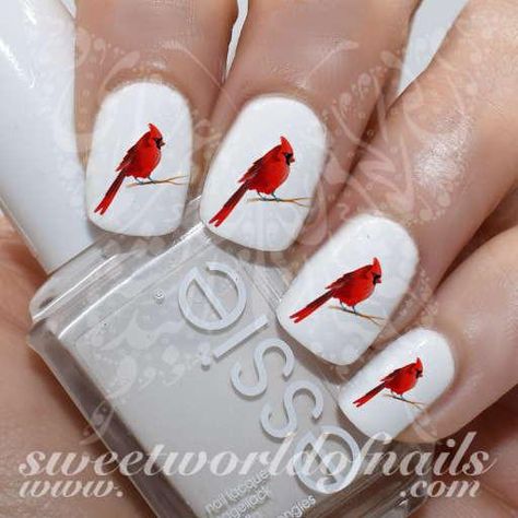 Red Cardinal Nail Art Bird Nail Water Decals Slides Bird Nails, Bird Nail Art, Cardinal Design, Cat Nail Art, Fun Summer Nails, Nail Water Decals, Finger Nail Art, Nail Art Designs Diy, Cardinal Bird