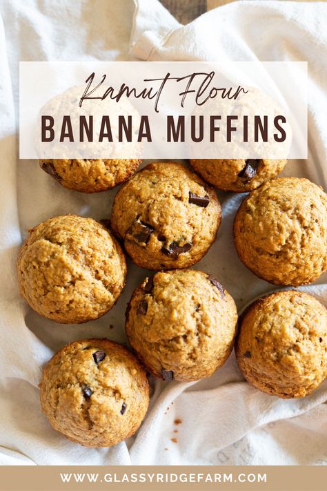 Made with Kamut Flour, these buttery banana muffins are a delicious way to incorporate ancient grains into your breakfast routine! Whole Grain Banana Muffins, Kamut Flour Muffins, Fresh Milled Banana Muffins, Fresh Milled Muffin Recipes, Fresh Milled Muffins, Fresh Milled Flour Muffins, Kamut Flour Recipes, Kamut Muffins, Kamut Bread Recipes