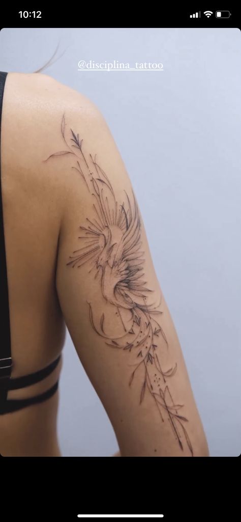 Chinese Phoenix Tattoo Feminine, Phoenix Tattoo Placement, Pheonix Tattoo Delicate, Whimsical Phoenix Tattoo, Phoenix And Snake Tattoo, Phoenix Forearm Tattoo For Women, Phoenix Rising Tattoo For Women, Phoenix Arm Tattoo For Women, Fire Phoenix Tattoo Feminine