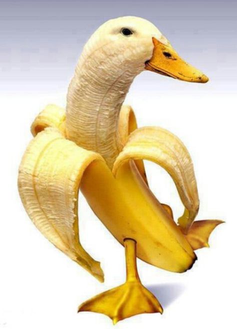 Banana Duck Banana Picture, Banana Funny, Trendy Food, Food Art For Kids, Funny Fruit, Fruit Picture, Banana Art, Creative Food Art, Fruit Art