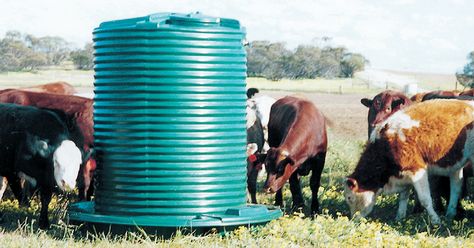 Diy Water Trough For Animals, Cow Trough, Poly Stock Tank, Livestock Water Trough, Pastured Poultry, Water Trough, Stock Tank, Storage Tanks, Electric Fence