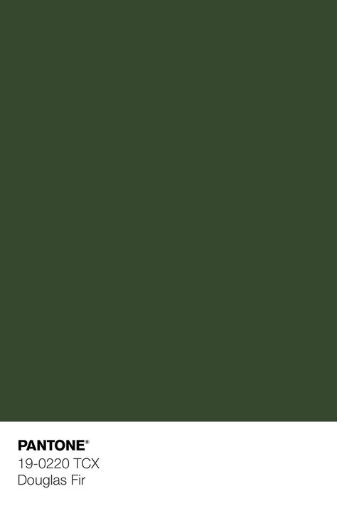 Dark Green Swatch, Dark Green Color Swatch, Dark Shades Of Green, Green Pantone Shades, Pantone Green Shades Colour Palettes, Green Pantone Palette, Forest Green Pantone, Green Colors Shades, Dark Green Pantone