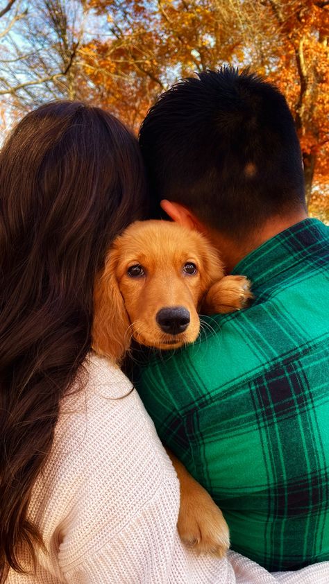 Couple With Dog Aesthetic, Family And Dog Photoshoot, Couple With Dogs Photoshoot, Cat Family Photo, Dog Family Pictures, Dog Family Portraits, Alaska Dog, Animal Photoshoot, Colorful Hairstyles