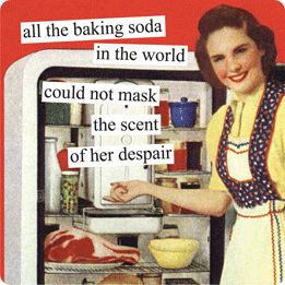 all the baking soda in the world could not mask the scent of her despair - Anne Taintor Time Captions, Anne Taintor, Vintage Housewife, Retro Housewife, Retro Humor, Twisted Humor, Vintage Humor, Bones Funny, Make Me Smile