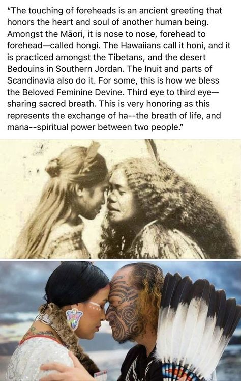 Ancestors Aesthetic, Spiritual Ancestors, Ancestral Witchcraft, Connecting With Your Ancestors, Ancestor Work, Kemetic Spirituality, Native American Memes, Get Educated, Knowledge And Wisdom