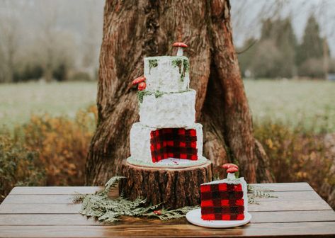 Woodsy Cake, Lumberjack Wedding, Buzzfeed Wedding, Plaid Cake, Woodland Wedding Cake, Autumn Wedding Cakes, Lumberjack Cake, Fruit Wedding Cake, Plaid Wedding