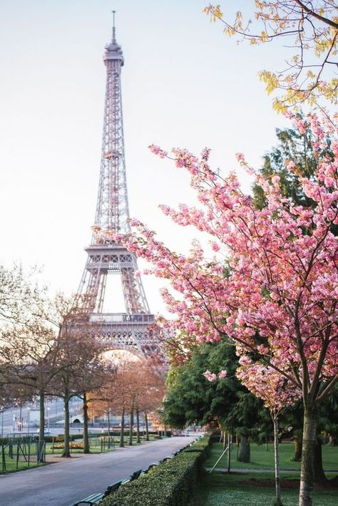 Prancis Paris, Paris In April, Paris In Spring, Spring In Paris, Paris Wallpaper, Voyage Europe, Visit Paris, The Eiffel Tower, Alam Yang Indah