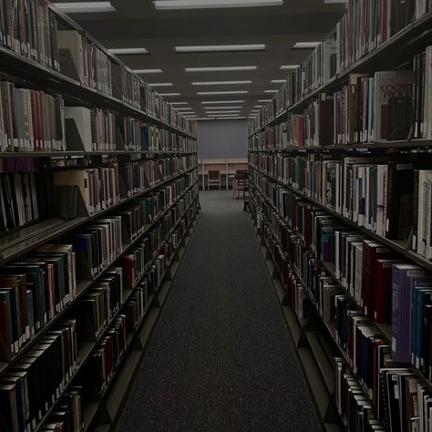 uni library Academic Library Aesthetic, Gray School Aesthetic, College Mystery Aesthetic, Dark High School Aesthetic, Creepy Library Aesthetic, Uni Library Aesthetic, High School Library Aesthetic, Dark College Aesthetic, School Horror Aesthetic