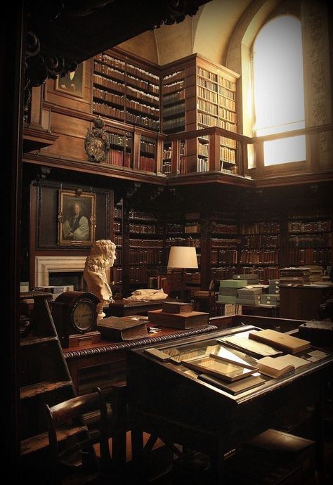 𝙳𝚊𝚛𝚔 𝚊𝚌𝚊𝚍𝚎𝚖𝚒𝚊 𝚍𝚛𝚎𝚊𝚖𝚜 on Twitter: "… " Dark Academia House, Academia House, Academia Library, Dark Academia Library, Dark Acadamia, Academia Aesthetics, Peisaj Urban, Dream Library, Old Library