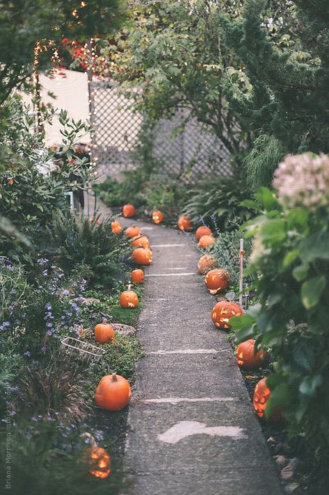 Jack O Lantern Yard Display, Harvest Moon Party, Wedding Musts, Halloween Downloads, Moon Party, Harvest Party, Halloween Party Themes, Theme Parties, Harvest Moon