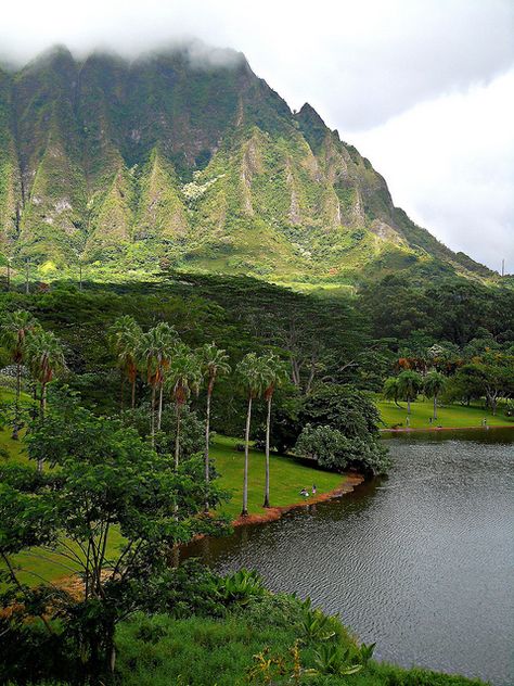 Hoolaluhia Botanical Garden in Kaneohe, Oahu - Hawaii | USA. My view everyday while I lived on the windward side........ Oahu Vacation, Hawaii Honeymoon, Hawaiian Vacation, Hawaii Usa, Turtle Beach, Hawaii Life, Aloha Hawaii, Hawaii Island, Pearl Harbor