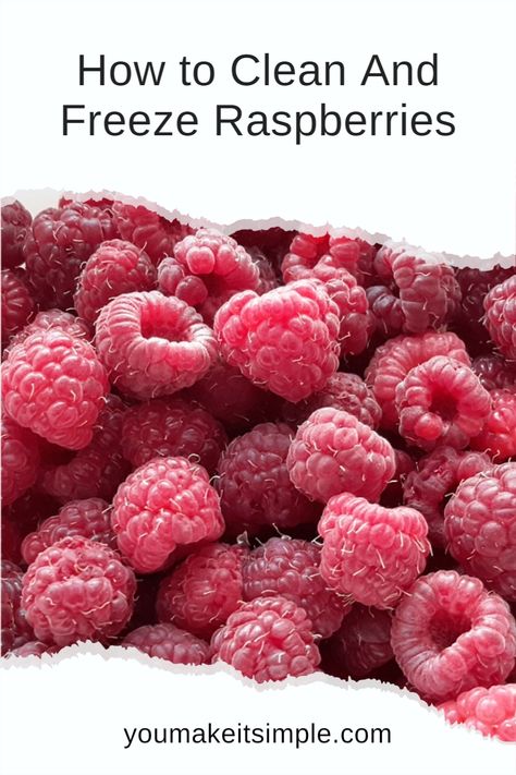 How to clean & freeze berries for later use. #freezingberries #diyfreezingberries #cleaningraspberries #freezingraspberries #raspberries #janhowell #youmakeitsimple #freezingfruit Freezing Raspberries, Preserving Berries, Washing Veggies, Freezing Fruit, Freezing Vegetables, Raspberry Bush, Table D Hote, Food Eating, Raspberry Recipes