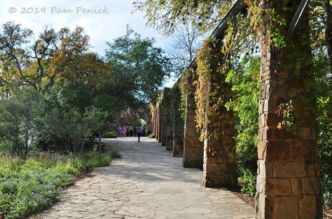 Aqueduct at Lady Bird Johnson Wildflower Center, November. Ladybird Johnson, Mosquito Fish, Big Freeze, Indian Hills, Lady Bird Johnson Wildflower Center, Purple Fruit, Virginia Creeper, Beautiful Sunday, Lady Bird Johnson