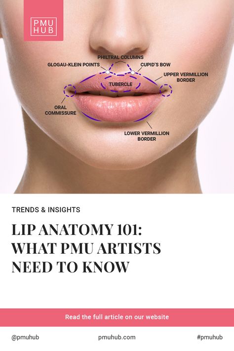 Creating stunning lip blush requires more than just skill – it demands thorough knowledge of lip anatomy as well. But here’s the kicker – it’s not just about the looks. It’s about your clients’ comfort and safety too. This article will guide you through the basics of lip anatomy – what you need to know to ensure a successful and safe lip blushing procedure. Lip Anatomy, Dermal Fillers Lips, Blush Tips, Pmu Artist, Lip Blushing, Lip Blush, Cupids Bow, Lip Shapes, Cosmetic Procedures