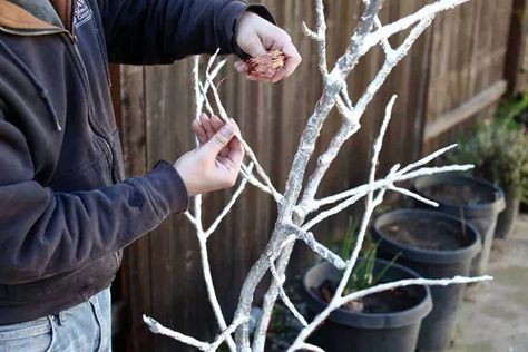 Many of us wish we could have outdoor lights glowing year-round; sadly, knotted electric cords and high energy bills hold us back. Thankfully, technology has advanced. Today, I’d like to share how I made a DIY fairy light tree with Starbright’s solar-powered string lights that could stay on year-round. Having solar-powered lights eliminates the need for long electric cords. This project was sponsored by Starbright.This 5-foot fairy light tree is the perfect size to stand on your covere… Fairy Light Tree, Lighted Tree Branches, Mason Jar Fairy Lights, Diy Wall Planter, Fairy Lights In Trees, Solar Lights Diy, Twig Lights, Light Tree, Light Up Tree