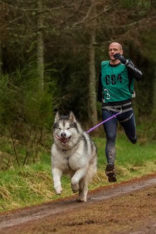 Run With Dog, Running With Dog, Running Training Plan, Puppy Training Treats, Dogs Running, Running Pictures, Dog Run, Dog Running, Dog Sports