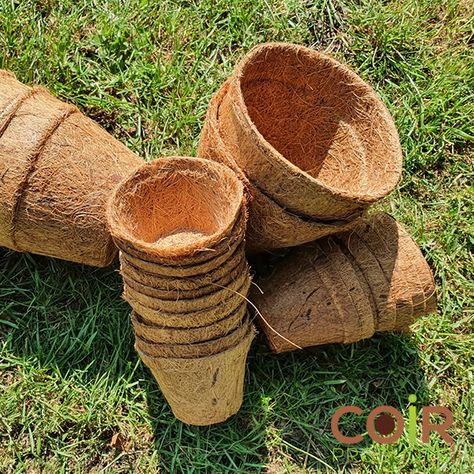 Our coir pots (coco pots) come in a variety of sizes and are ideal for sowing seeds or for growing larger plants. They are 100% biodegradable, and are a great alternative for plastic pots! They also have no transplanting shock when repotting. Head over to our online shop to make your pick: https://www.coirproducts.co.uk/product-category/coir-pots/ #CoirProducts #Coirproductsuk #Biodegradable #CocoPots #BiodegradablePots #Growing #Gardening #GrowYourOwn #Grower #GrowWithC… See more Biodegradable Plant Pots, Sowing Seeds, Plastic Pots, Large Plants, Grow Your Own, Decorative Wicker Basket, Potted Plants, Biodegradable Products, Vision Board