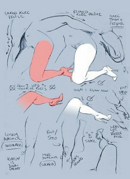 Bodies Drawing, Draw Anatomy, Drawing Notes, Drawing Aesthetic, Body Base, Art Templates, Body Drawing Tutorial, Art Help, Human Anatomy Art