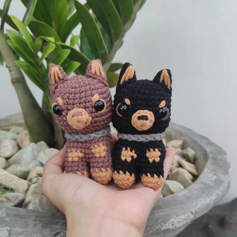 made another chibi dobie 🐾 is it obvious that i have a favorite breed lol. making a german shepherd next!! and maybe a belgian malinois? 🏷️: #crochet #crochetph #amigurumi #crochetdog #dogs Belgian Malinois, Crochet Dog, German Shepherd Dogs, German Shepherd, Amigurumi, Crochet, Dogs, Gifts, Quick Saves