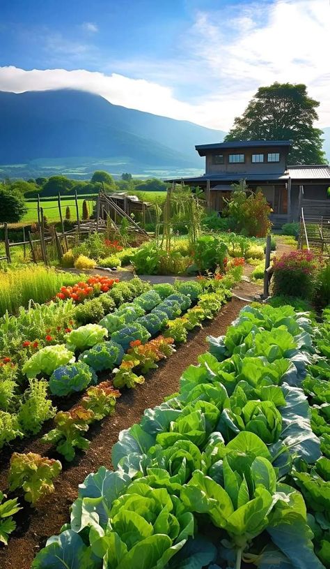 House With Vegetable Farm, House And Garden Uk, Tire Garden, Pure Country, Eco Garden, Industrial Style Kitchen, Vegetable Gardens, Veg Garden, Vegetable Garden Design