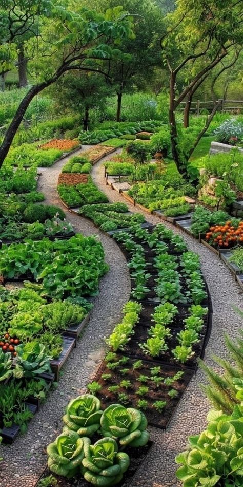 🌱🥳🎊 Home Vegetable Garden Design, Planning Garden, Beds Ideas, Gardening Design, Border Ideas, Flower Bedding, Potager Garden, Bedding Ideas, Veg Garden