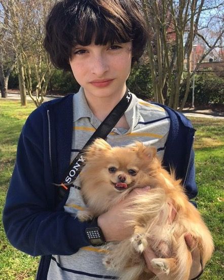 Finn Wolfhard, Stranger Things, A Small