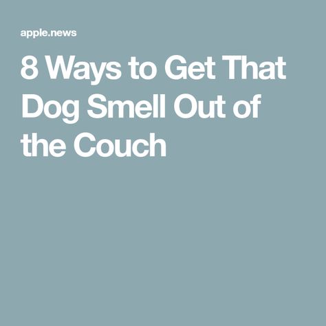 Puke Smell Out Of Couch, Pet Urine Smell Out Of Couch, Pet Smell Out Of Couch, How To Get Rid Of Dog Smell On Couch, Smelly Couch Remedy, Couch Stains, Pet Urine Smell, Dog Odor Eliminator, Stinky Dog