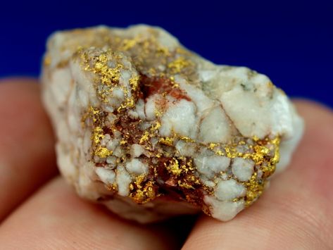 Geology Rocks Mineral, Gold Specimens, Raw Gold, Natural Gold Nugget, Wire Jewerly, Coffee Cup Art, Gold Crystals, Australian Gold, 21 Grams