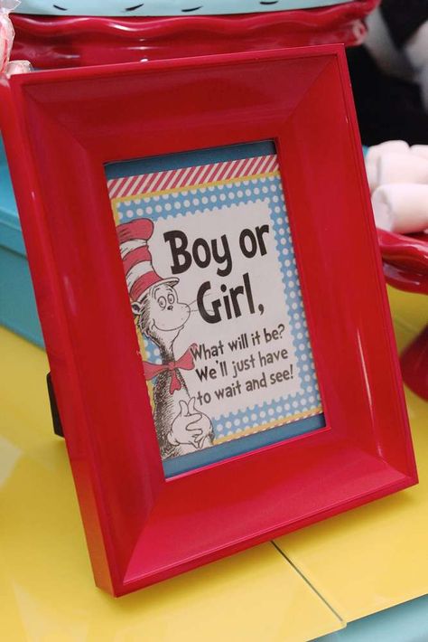 Emmy's Baby Boo with Thing 1 Dr Suess Baby Gender Reveal, Cat In The Hat Gender Reveal, Thing 1 And Thing 2 Gender Reveal Ideas, Thing 1 Thing 2 Gender Reveal, Cat In The Hat Baby Shower Ideas, Dr Seuss Gender Reveal Ideas, Dr Suess Baby Shower Ideas, Baby Shower Cat, Dr Suess Baby