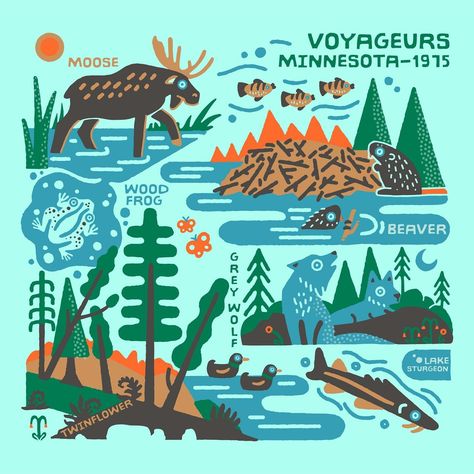 Zaine Vaun | The Voyageurs National Park in Minnesota founded in 1975. I’m stoked about this one because it has BEAVERS, and I don’t usually like to… | Instagram Minnesota Camping, Voyageurs National Park, Outdoor Logos, Americana Art, She Did It, Chalkboard Designs, American Continent, Type Illustration, Nature Stickers