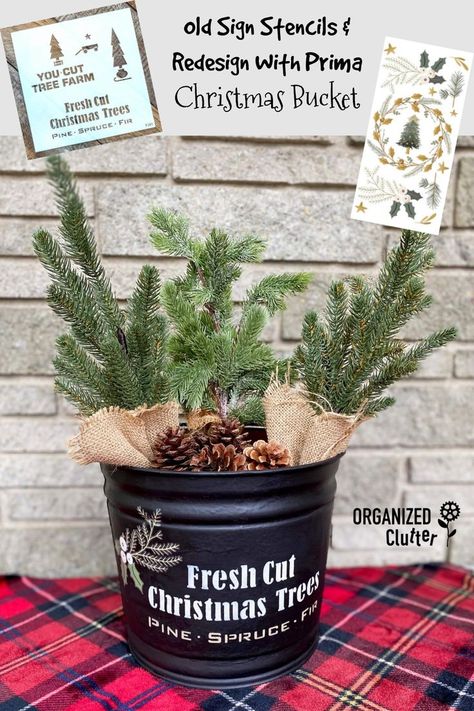 I am loving the idea of combining stenciling and decor transfers on projects! An old bucket was transformed with black chalk paint, Old Sign Stencils Mini Tree stencil and a Redesign With Prima decor transfer. Easy and fun to do! #oldsignstencils #stencils #stenciling #redesignwithprima #decortransfers #Christmasbucket #upcycle #Christmasdecor #ChristmasDIY Metal Bucket Ideas, Painted Galvanized Buckets, Upcycled Christmas, Metal Buckets, Old Bucket, Bucket Ideas, Fresh Cut Christmas Trees, Decor Transfers, Stencil Decor