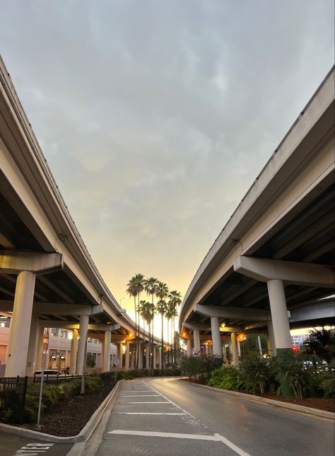 Downtown Tampa Florida Aesthetic, Romanticism Life, Tampa Florida Aesthetic, Tampa Aesthetic, Tampa Downtown, Florida Aesthetic, Pretty Views, Florida Life, Moving To Florida