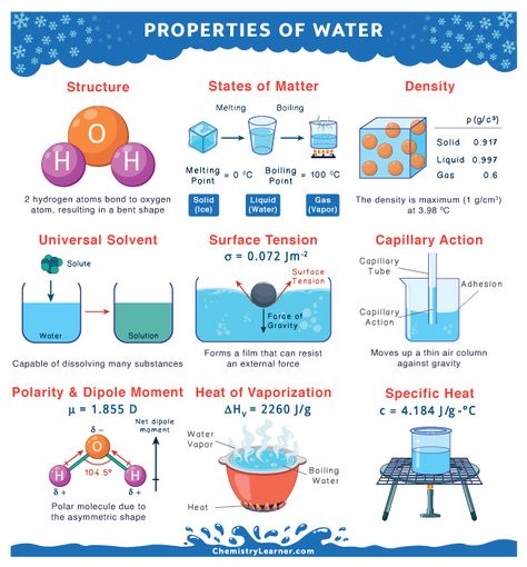 Properties of Water Polarity Of Molecules, Cohesion And Adhesion Of Water, Properties Of Water Notes, Water Properties, Properties Of Water, Chemistry Activities, Chemistry Study Guide, Chemistry Basics, Chemical Science