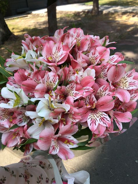 Alstroemeria Bouquet, Flower Identification, Boquette Flowers, Flowers Bouquet Gift, Nothing But Flowers, Flower Therapy, Beautiful Bouquet Of Flowers, Flower Lover, Exotic Flowers