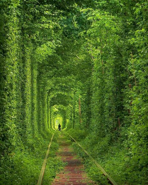 Tunnel Of Love Ukraine, Tunnel Of Love, Earth Pictures, Destination Voyage, Train Tracks, Beautiful Places To Visit, Travel Insurance, Places Around The World, Most Beautiful Places