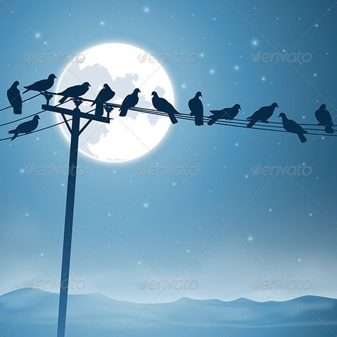 Birds on a Line  #GraphicRiver         Lots of Birds on Telephone Lines with Night Sky and Moon. – Fully editable vector EPS 10 , gradients and transparencies used.     Created: 17December12 GraphicsFilesIncluded: VectorEPS Layered: No MinimumAdobeCSVersion: CS Tags: birds #blue #cable #countryside #electricity #flock #glow #illustration #line #lunar #misty #moon #night #overhead #perched #pigeon #pole #post #silhouette #stars #telegraph #telephone #vector #wire Glow Illustration, Birds On A Line, Black Bird Tattoo, Homemade Bird Feeders, Diy Bird Bath, Singing Bird, Shoot The Moon, Bird Silhouette, Moon Night